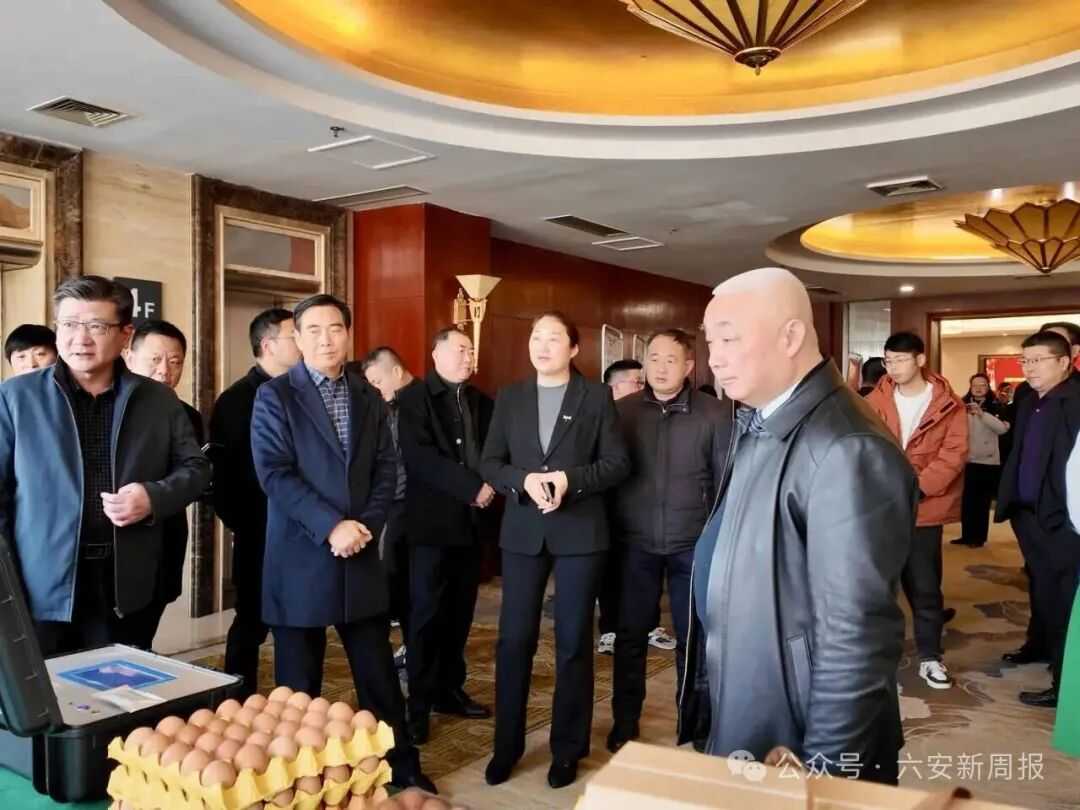 媒体报道背景图